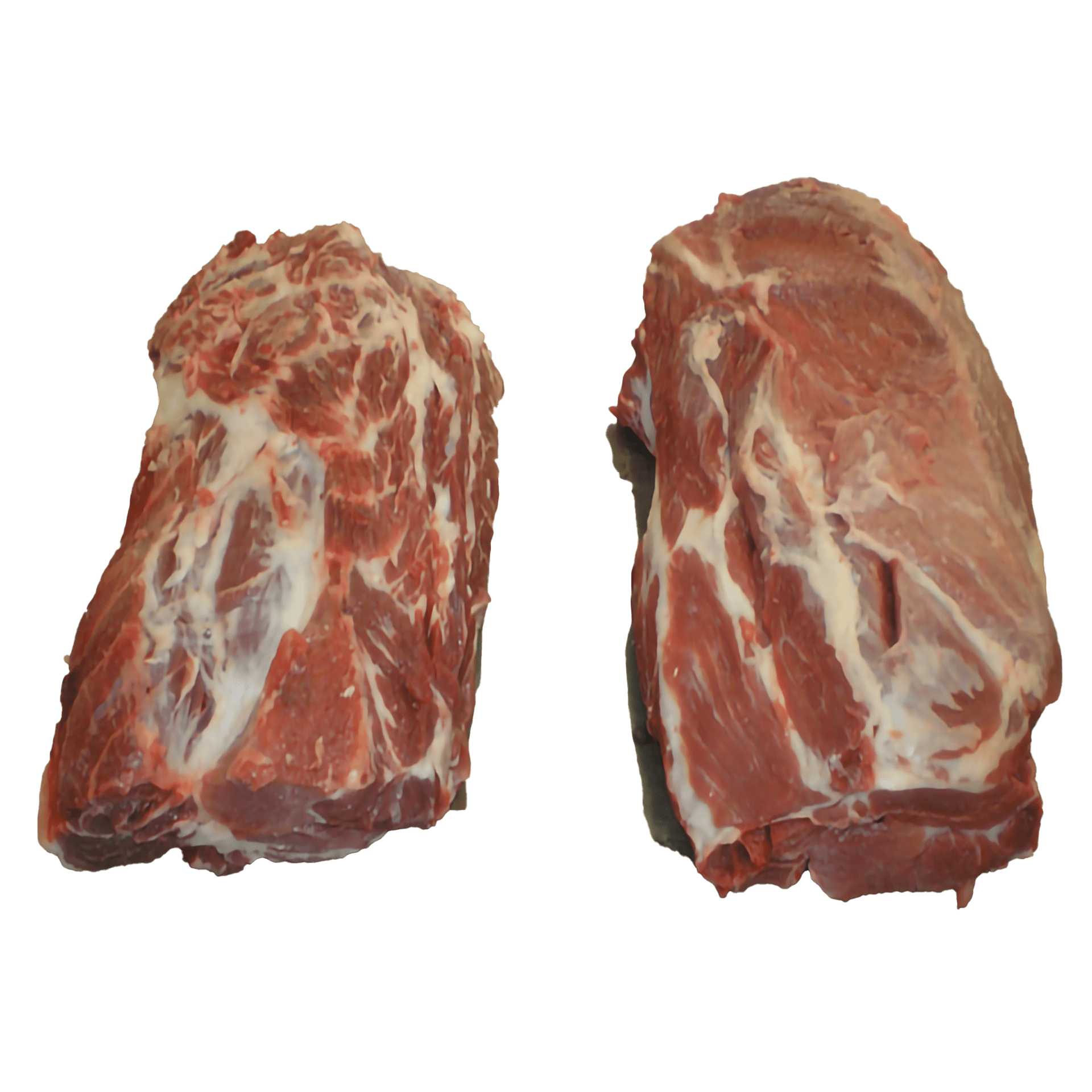 Coppa di scrofa