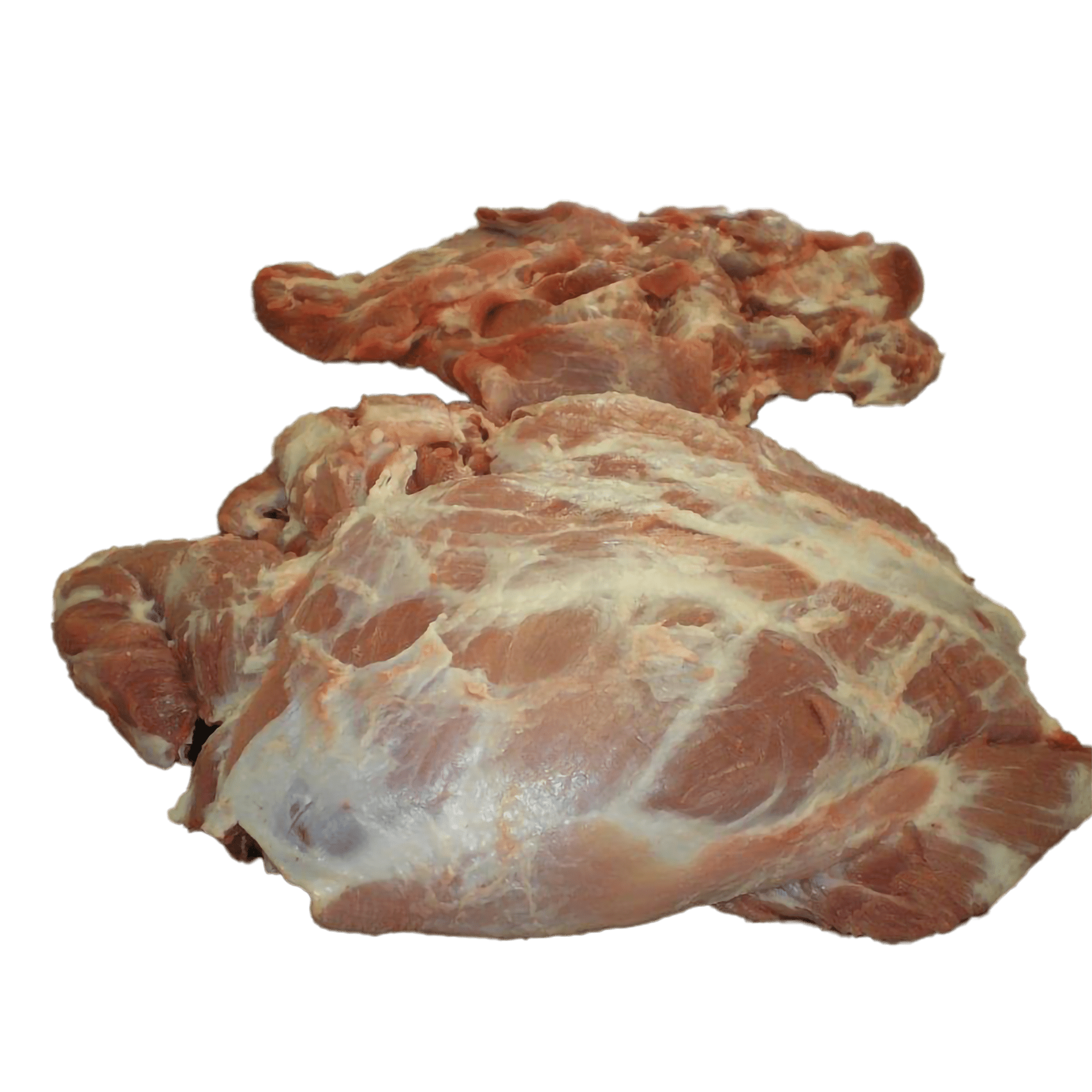 Spalla di scrofa  4D